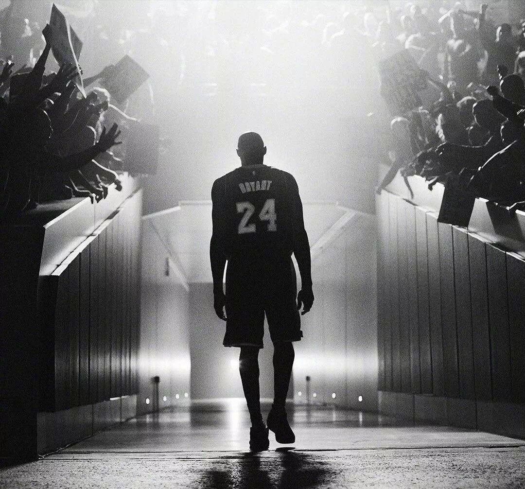 框架效应 框架效应