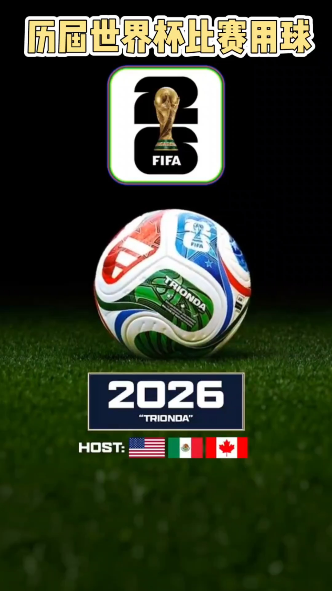 网易迅速回 网易迅速回