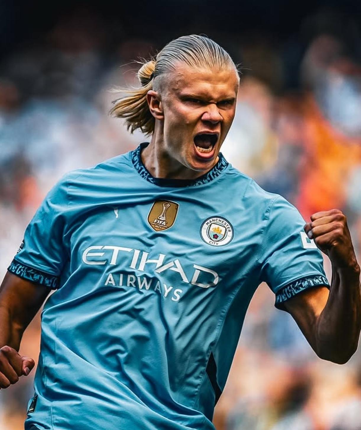 版图扩张型 版图扩张型